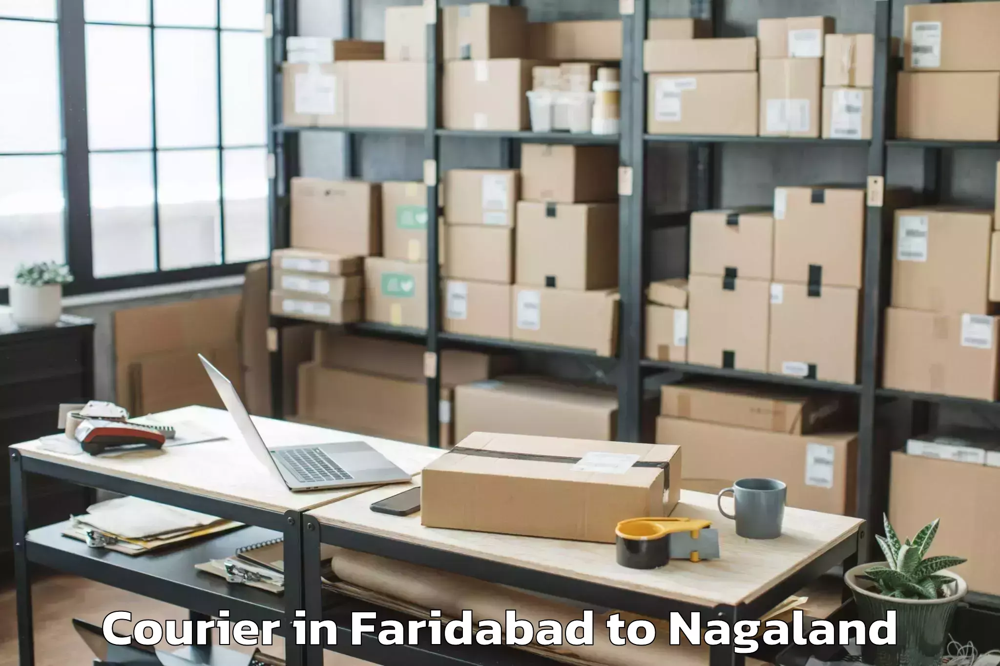 Book Faridabad to Khezhakeno Courier